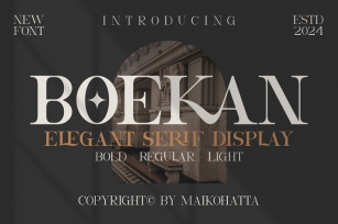 Boekan - Elegant Serif Display Font Download