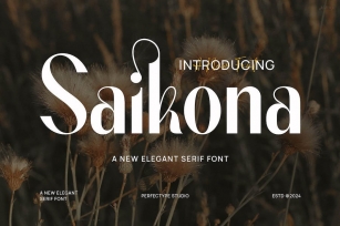 Saikona Elegant Sans Serif Font Typeface Font Download