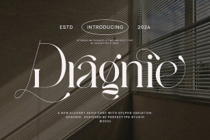Dragnie Elegant Ligature Serif Font Typeface Font Download