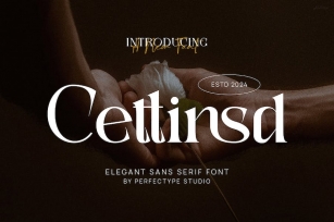Cettinsd Elegant Serif Font Typeface Font Download