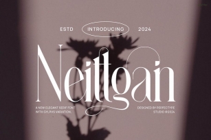 Neittgan Elegant Ligature Serif Font Typeface Font Download