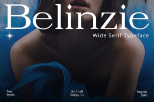 Belinzie – Serif Typeface Font Download