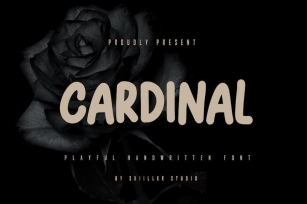 Cardinal - Playful Handwritten Font Font Download