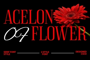 Acelon â€“ Condensed Serif Font Download