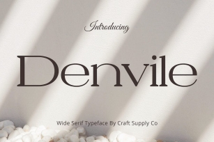 Denvile â€“ Wide Serif Font Download