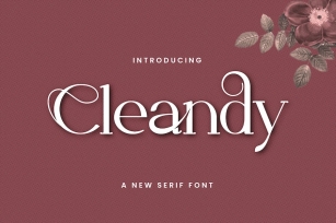 Cleandy Font Download