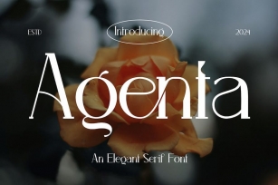 Agenta - Elegant Serif Font Font Download