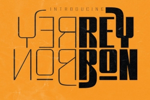 Rey Bon Modern Classic Font Font Download