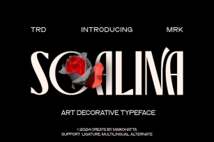 Soalina - Art Decorative Typeface Font Download