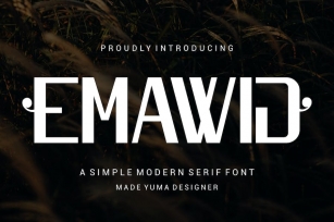 Emawij - a Popular Font Font Download