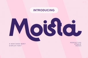 Moista Modern Futuristic Sans Serif Font Font Download