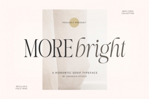 More Bright Serif Duo Font Download