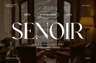 Senoir Elegant Serif Font Typeface Font Download