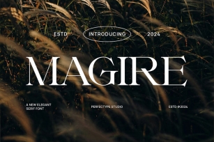 Magire Elegant Serif Font Typeface Font Download