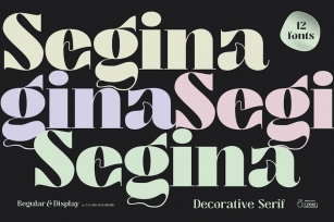Segina - Psychedelic Serif Family Font Download