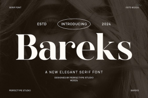 Bareks Elegant Serif Font Typeface Font Download