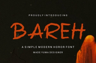 Bareh Font Font Download