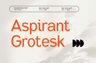 Aspirant Grotesk Modern Geometric Font Family Font Download