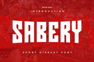 SABERY - Sport Display Font Font Download