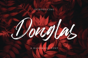 Donglas Brush Font Download
