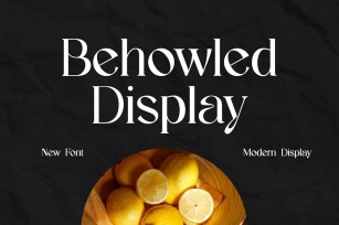 Behowled Classic Modern Serif Display Font Download