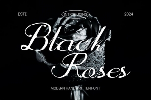 BlackRoses - A Modern Script Font Font Download