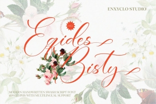 NCL Eqides Bisty - Handwritten Script Swash Font Font Download