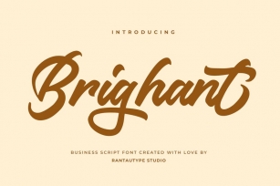 Brighant Business Script Font Font Download