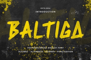 BALTIGA - Textured Brush Font Font Download