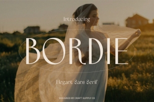 Bordie â€“ Beauty Sans Serif Font Download