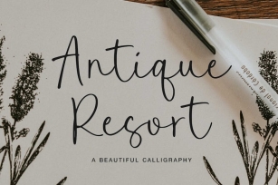 Antique Resort Script Font Font Download