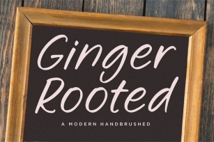 Ginger Rooted Script Font Font Download