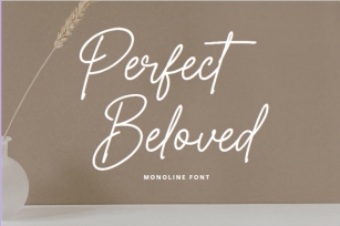 Perfect Beloved Font Download