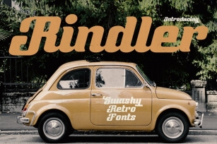Rindler - Retro Script Fonts Font Download