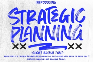 Strategic Planning - Sport Brush Font Font Download