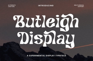 Butleigh - Experimental Font Font Download