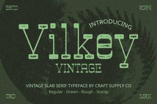 Vilkey Vintage Font Download