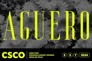 Aguero Serif Rounded Font Download