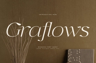 Graflows Modern Serif Font Font Download