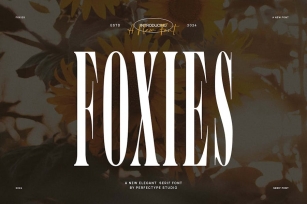 Foxies Elegant Serif Font Typeface Font Download