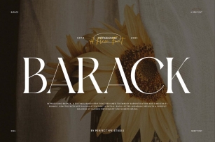 Barack Elegant Serif Font Typeface Font Download