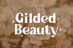 Gilded Beauty - A Classy Serif Font Font Download