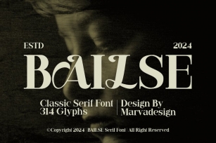 Bailse - Serif Font Font Download