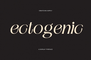 Ectogenic Italic Sans Serif Display Font Font Download