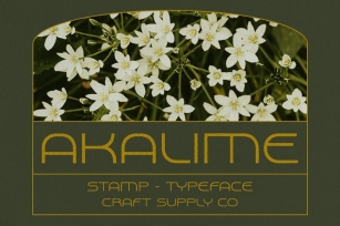 Akalime Stamp Font Download
