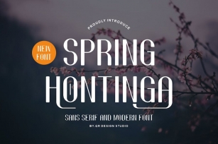 Spring Hontinga - Modern & Minimal Font Font Download