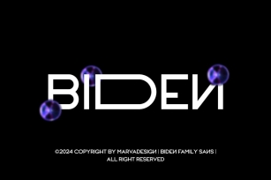 Biden - Modern Family Sans Serif Font Download