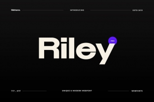 Riley - Modern Sans-Serif Font family Font Download
