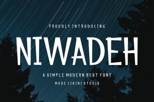 NIWADEH - Modern Best Font Font Download