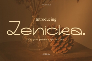 Zenicka Light Serif Font Font Download
